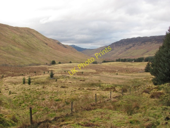 Photo 6"x4" Glen More Ratagan c2011