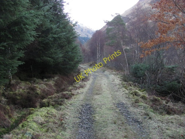 Photo 6"x4" Forest road by Dorusduain Carn-gorm c2011