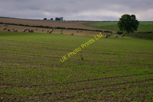 Photo 6"x4" Field Near Honey Hill Langtoft\/TA0166 c2006