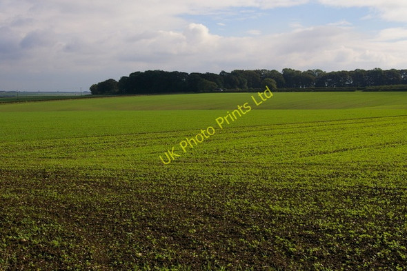 Photo 6"x4" Looking to Chalet Farm from B1253 Langtoft\/TA0166 c2006