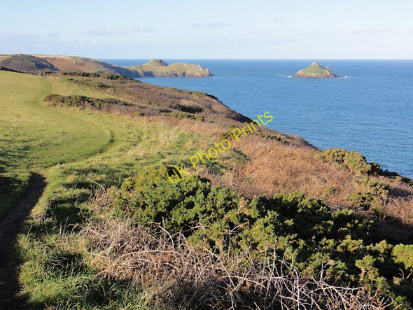 Photo 6"x4" The Coastal Slope Looking Towards Carnweather Point Porteath c2011