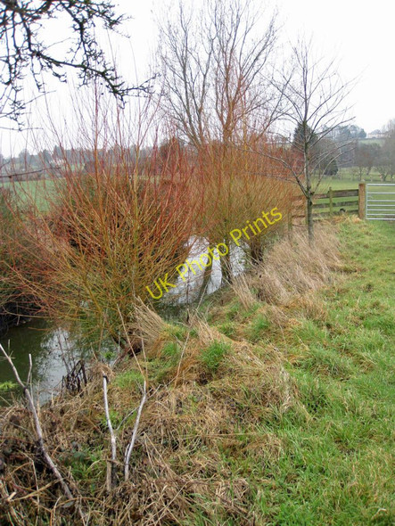 Photo 6"x4" Splash of colour Crow Hill\/SO6326 c2011