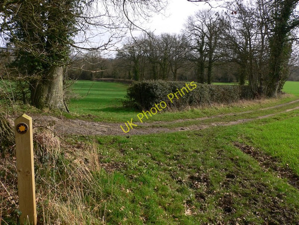 Photo 6"x4" Footpath joins farm track near Whipley Manor Farm Palmers Cross\/TQ0240 c2011