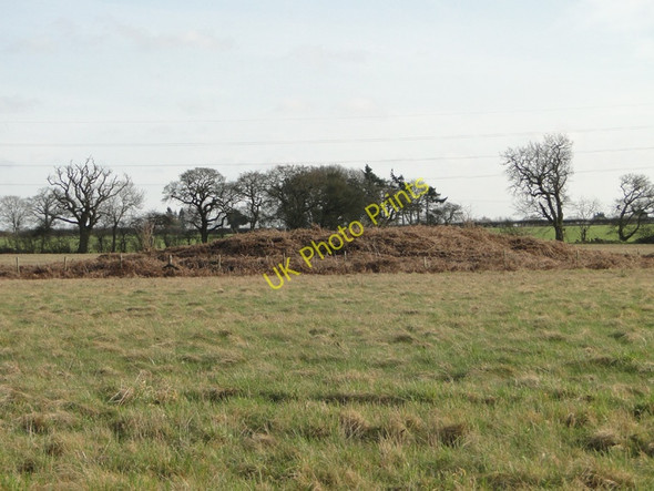 Photo 6"x4" Tumulus on Weasenham Lyngs Rougham\/TF8320 c2011