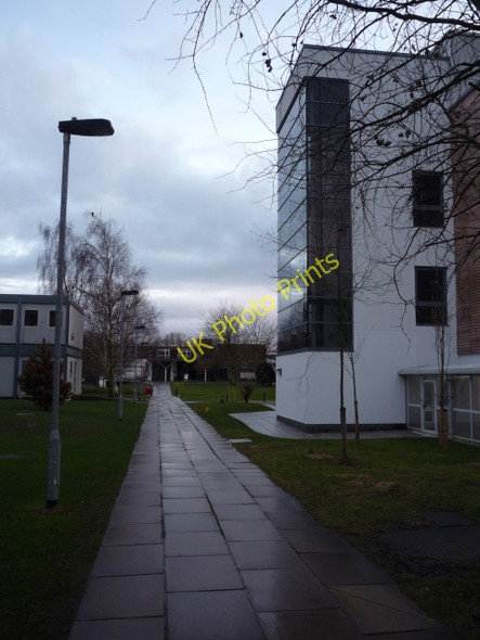 Photo 6"x4" Path to Wentworth from Biology York\/SE5951 c2011