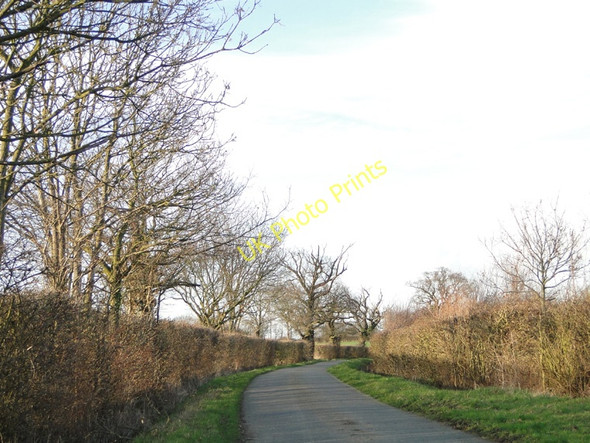 Photo 6"x4" Spring is sprung Great Glemham c2011