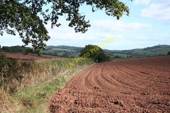 Photo 6"x4" Sandford: footpath to Chilton East Village\/SS8405 c2006