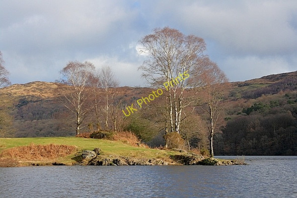 Photo 6"x4" The Shoreline, Coniston Water Water Yeat c2011