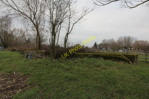 Photo 6"x4" View from the river Radcot c2011