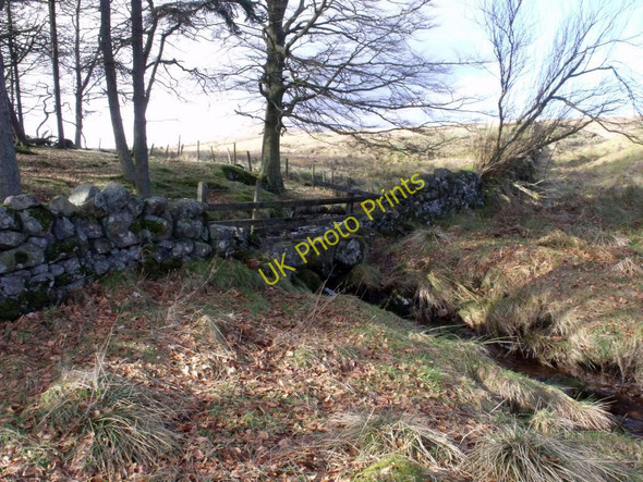 Photo 6"x4" Kilsyth Hills, Craigdouffie Burn High Banton c2011