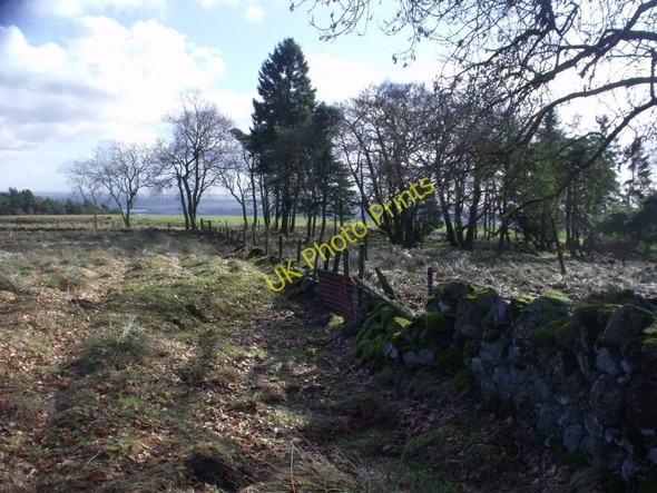 Photo 6"x4" Kilsyth Hills, Craigdouffie Burn High Banton c2011 P1