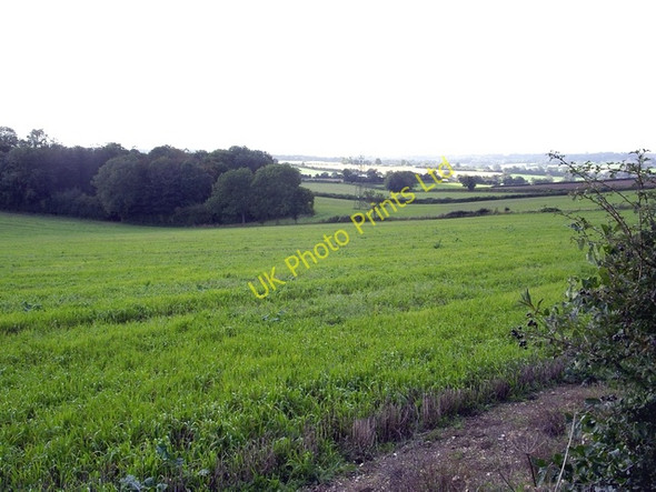 Photo 6"x4" Field south of Cheriton Lane Bishop's Sutton c2006
