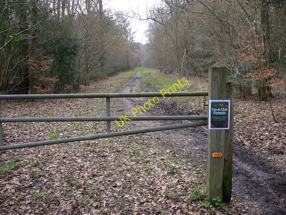 Photo 6"x4" Entrance to Alice Holt Forest West End\/SU8242 c2011