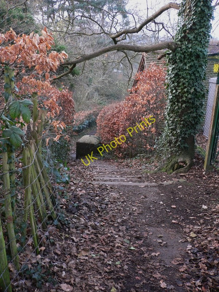 Photo 6"x4" Path and steps down from Bridgefield in Farnham Farnham\/SU8446 c2011