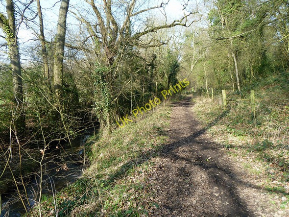 Photo 6"x4" Bridleway 258 by Milton Brook Dorking c2011