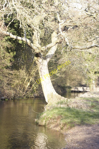 Photo 6"x4" An offshoot of the River Loddon Church End\/SU6756 c2011