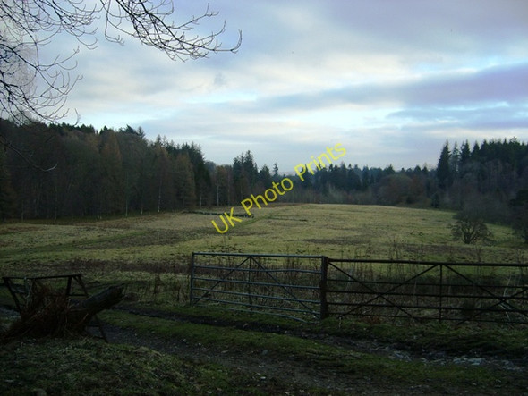 Photo 6"x4" Secluded meadow north of Cortachy Cortachy c2011
