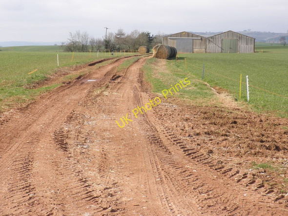 Photo 6"x4" Track near Downs Farm Broomfield\/ST2232 c2011