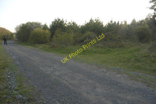 Photo 6"x4" Track junction in Pembrey Country Park Pembrey Forest c2006