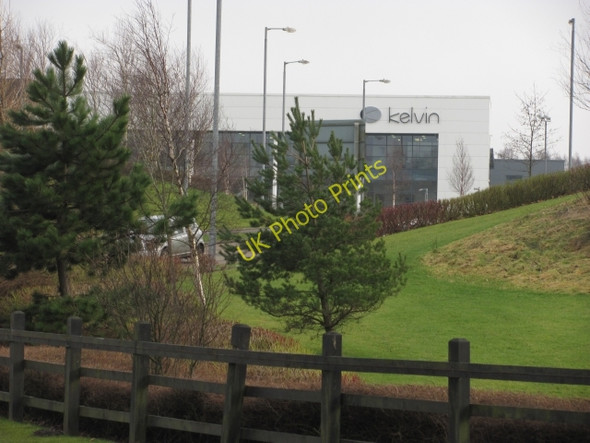 Photo 6"x4" Hunt Hill Blackwood\/NS7274 c2011