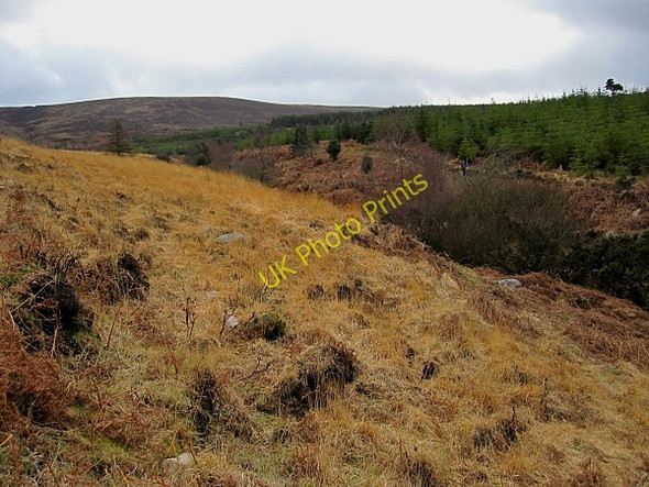 Photo 6"x4" Rough Grazing Rossadrehid c2011