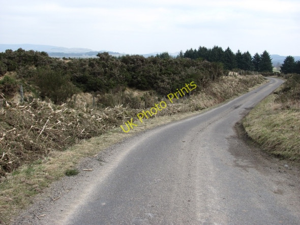 Photo 6"x4" Minor road, Bamff Bridge of Craigisla c2011
