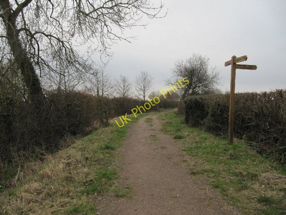Photo 6"x4" Finger post on the lane Glastonbury c2011