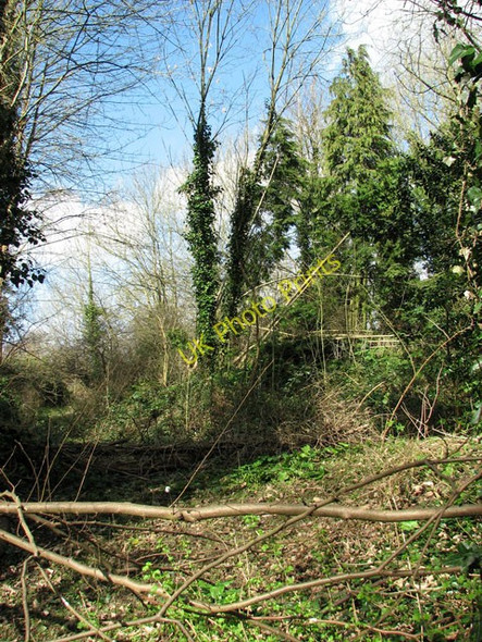 Photo 6"x4" The site of an old chalk mine in Eaton (Norwich) Eaton\/TG2106 c2011 P1