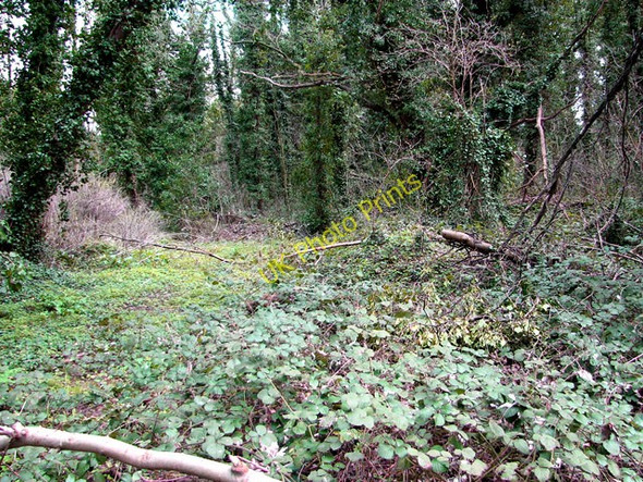 Photo 6"x4" The site of an old chalk quarry, Eaton (Norwich) Eaton\/TG2106 c2011
