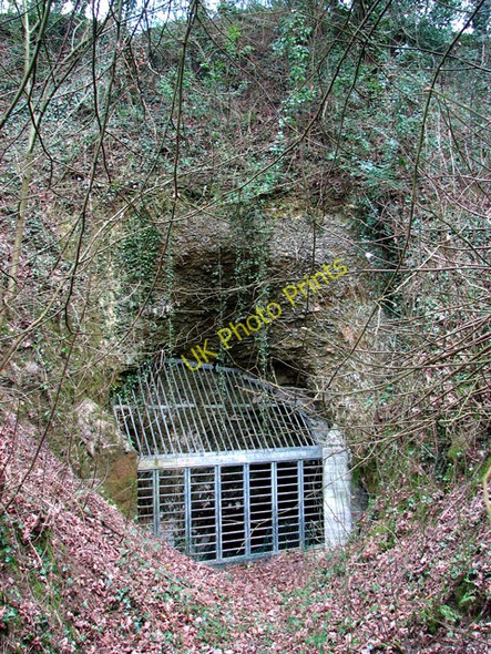 Photo 6"x4" Entrance to the old chalk mine in Eaton, Norwich Eaton\/TG2106 c2011