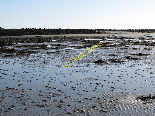 Photo 6"x4" View south towards the spit in Cranfield Bay Greencastle\/J2411 c2011