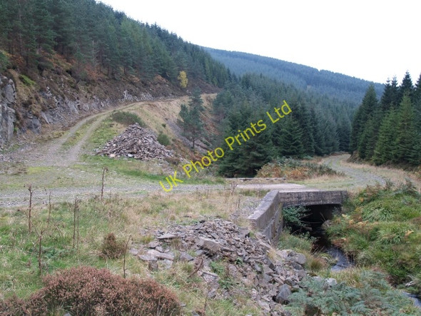 Photo 6"x4" Forest roads and bridge, Williamslee burn Williamslee c2006