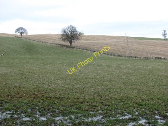 Photo 6"x4" Waterlogged field, Little Kilry Bridge of Craigisla c2011