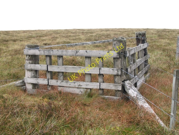 Photo 6"x4" Summit, Rough Moss Garvald Punks c2006