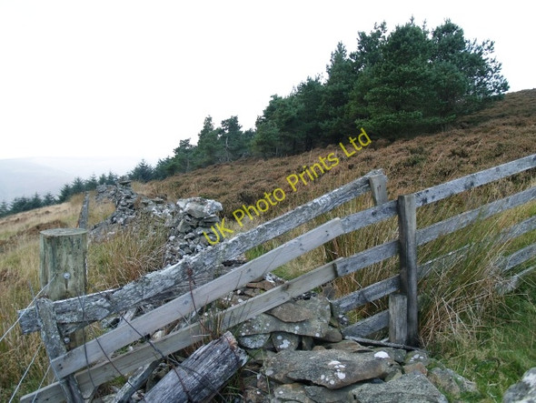 Photo 6"x4" Wall and fence, The Neth Hill. Williamslee c2006