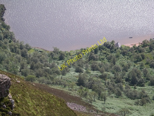 Photo 6"x4" Doire Damh Doire Damh\/NG8750 c2005