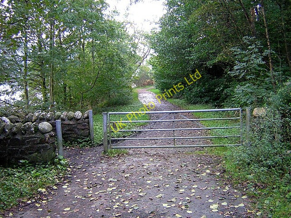 Photo 6"x4" West Loch Lomond Cycle Path Tarbet\/NN3104 c2006