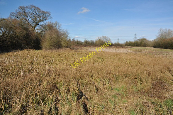 Photo 6"x4" Marshy ground, Taynton Kent's Green c2011