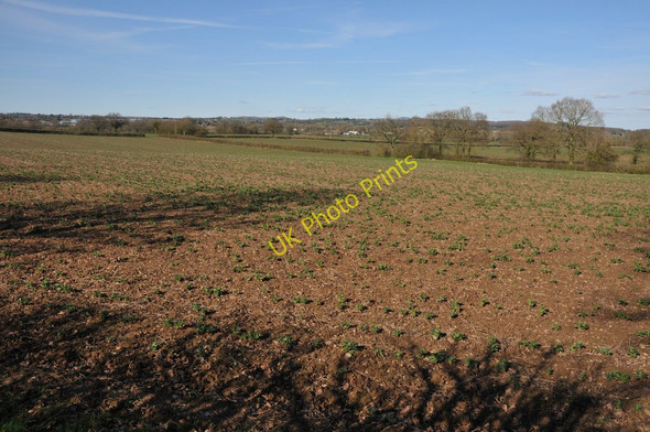 Photo 6"x4" Arable land at Kent's Green Kent's Green c2011