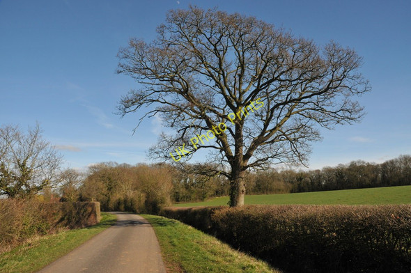 Photo 6"x4" Road from Anthony's Cross Anthony's Cross c2011
