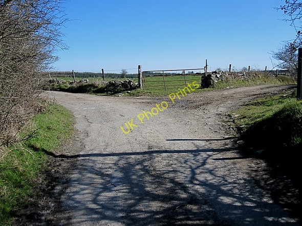 Photo 6"x4" Road & Lane Cullahill c2011