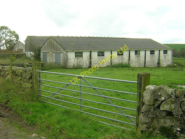 Photo 6"x4" Farm Buildings at Barbey Milton\/NX8470 c2006