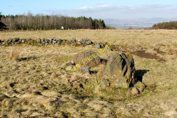 Photo 6"x4" Standing stones at Gleniffer Braes Johnstone\/NS4362 c2011