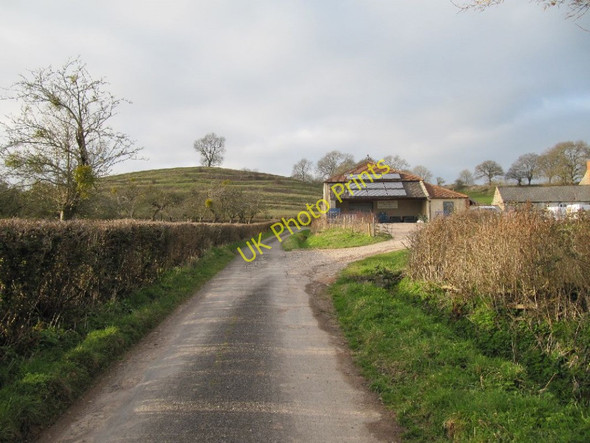 Photo 6"x4" Lane to the plant Glastonbury c2011