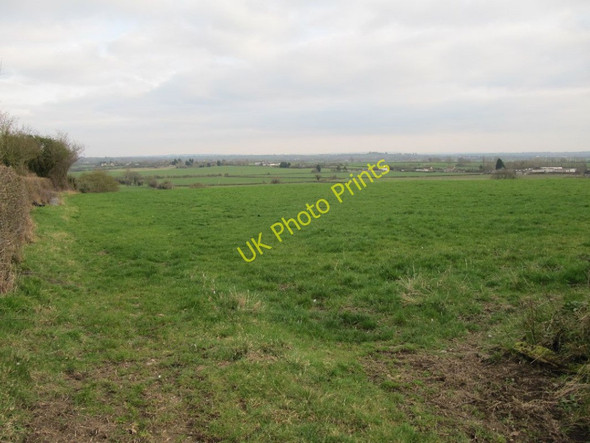 Photo 6"x4" Field through the hedge Glastonbury c2011
