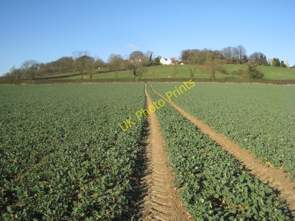 Photo 6"x4" Footpath to Skinnand Lane Wellingore c2011