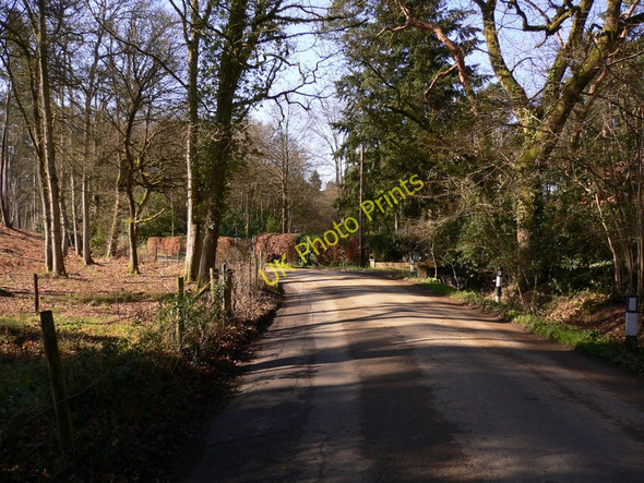 Photo 6"x4" Bend at the east end of Frensham Vale Lower Bourne c2011