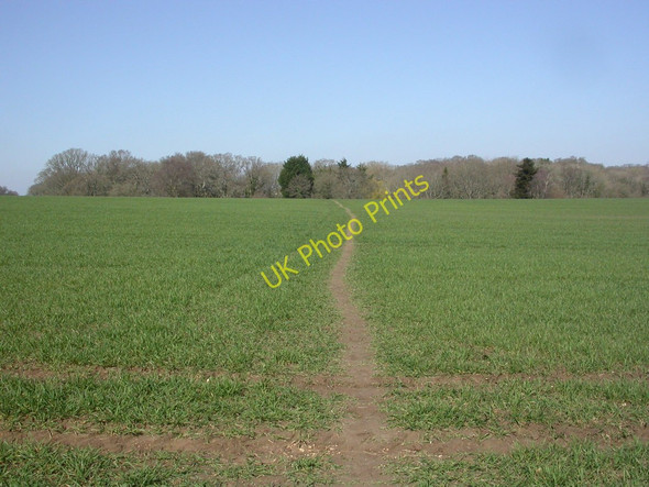 Photo 6"x4" Broom Hill, footpath Wimborne Minster c2011