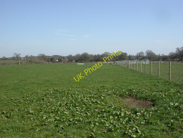 Photo 6"x4" Broom Hill, sheep grazing Wimborne Minster c2011
