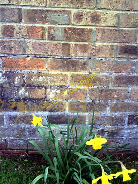 Photo 6"x4" Benchmark on Queens Drive Methodist Church Swindon\/SU1685 c2011